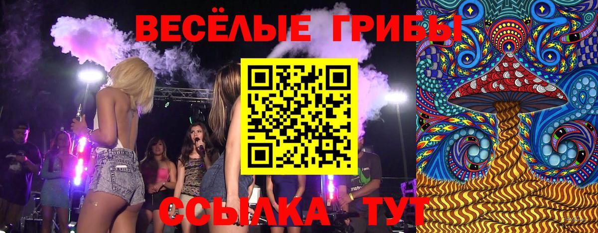 Галлюциногенные грибы мицелий Всеволожск